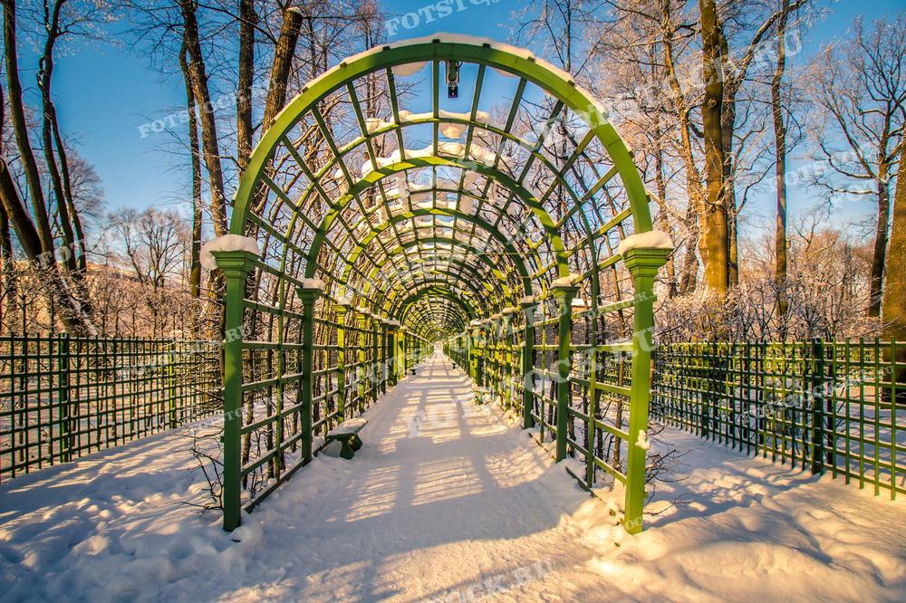 Эта фотография показывает заснеженную аллею с зелеными металлическими арками в парке в Санкт-Петербурге. Снег, покрывающий дорожку и ветви деревьев, придаёт сцене зимнее очарование, а ясное синее небо создает контраст с белоснежным покровом и зелёными элементами конструкции. Игра света и тени на снегу, а также перспектива, уходящая вглубь аллеи, делают эту фотографию привлекательной для использования в зимних тематических публикациях, календарях и в качестве открытки.